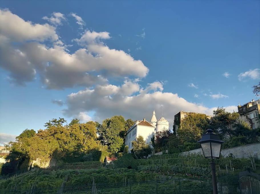 Apartment Avec Vue Exceptionnelle A Montmartre. *