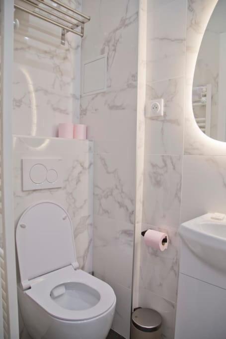 Fully Renovated Historic In Heart Mouffetard Appartement Paris