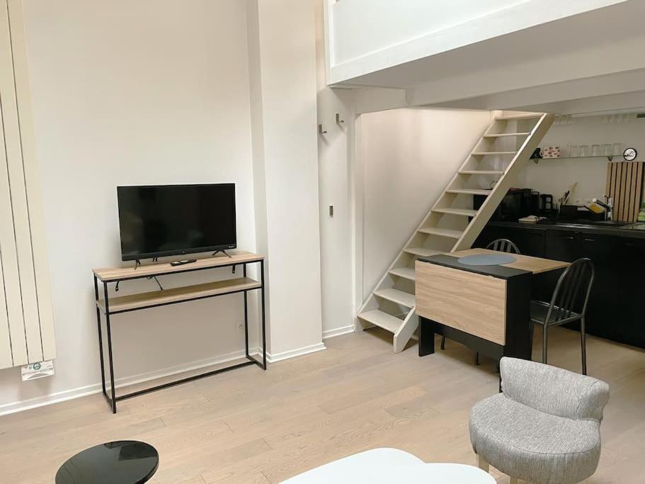 Atelier D'artiste Appartement
