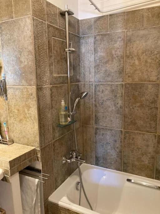 Apartment Loft En Dernier Etage Proche Des Buttes Chaumont Paris