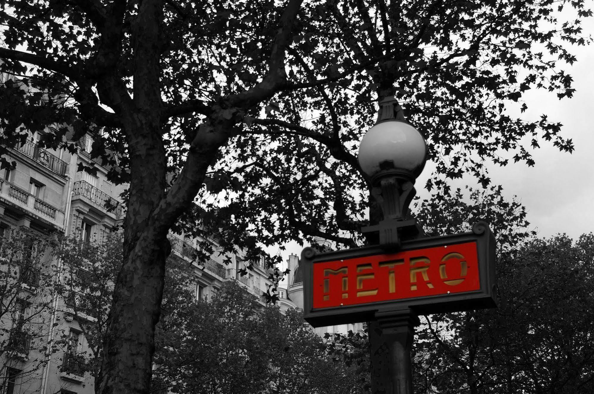 Wallace - Orso Paris