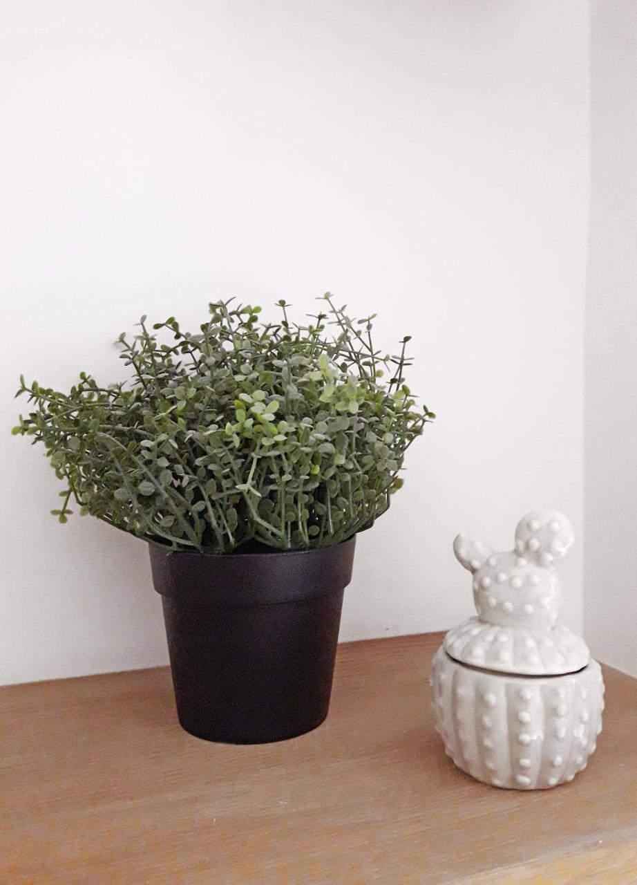Appartement Haussmann Paris