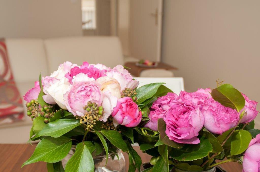 Apartment St Germain Des Pres,