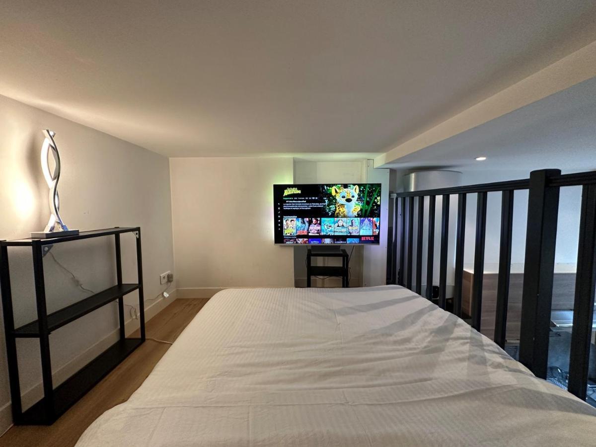 Spacious Loft Near Jardin Du Luxembourg Apartment Paris
