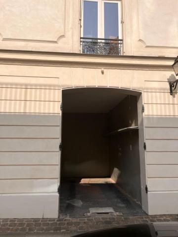 Luxueux Duplex Elysees 240m2 Apartment