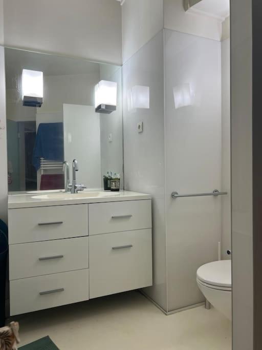 Apartment In The Area Of Paris