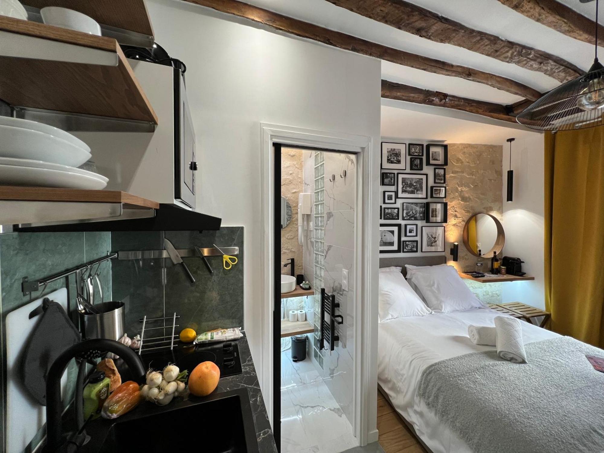 Apartment Pasteur- Xve Paris