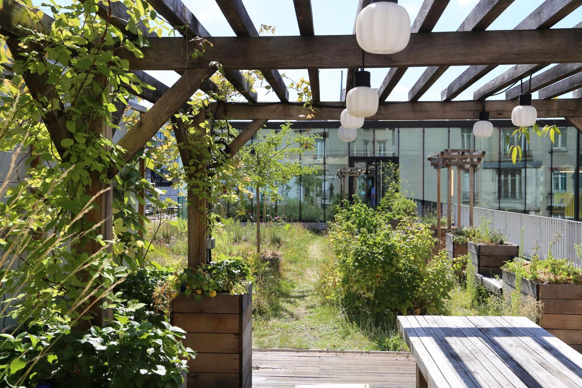 Deskopolitan House Hotel