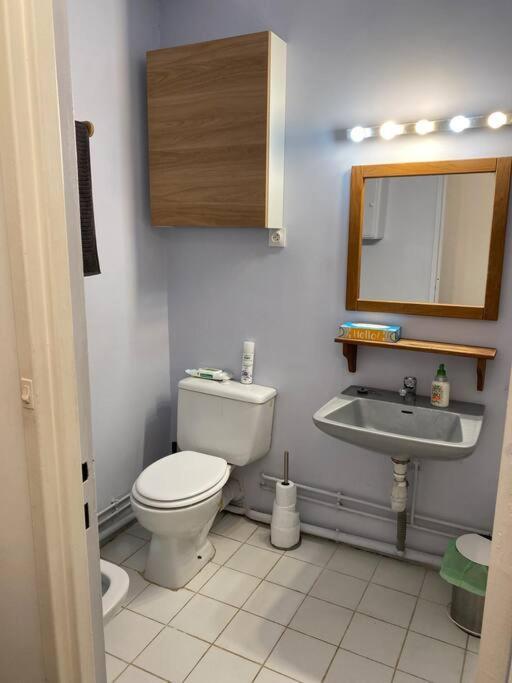 Appartement 2 Pieces Lumineux Proche Du Parc Buttes Chaumonts