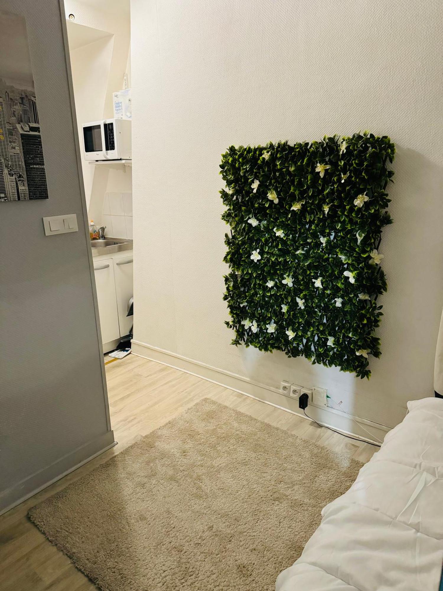 Appartement Studette Champs Elysees