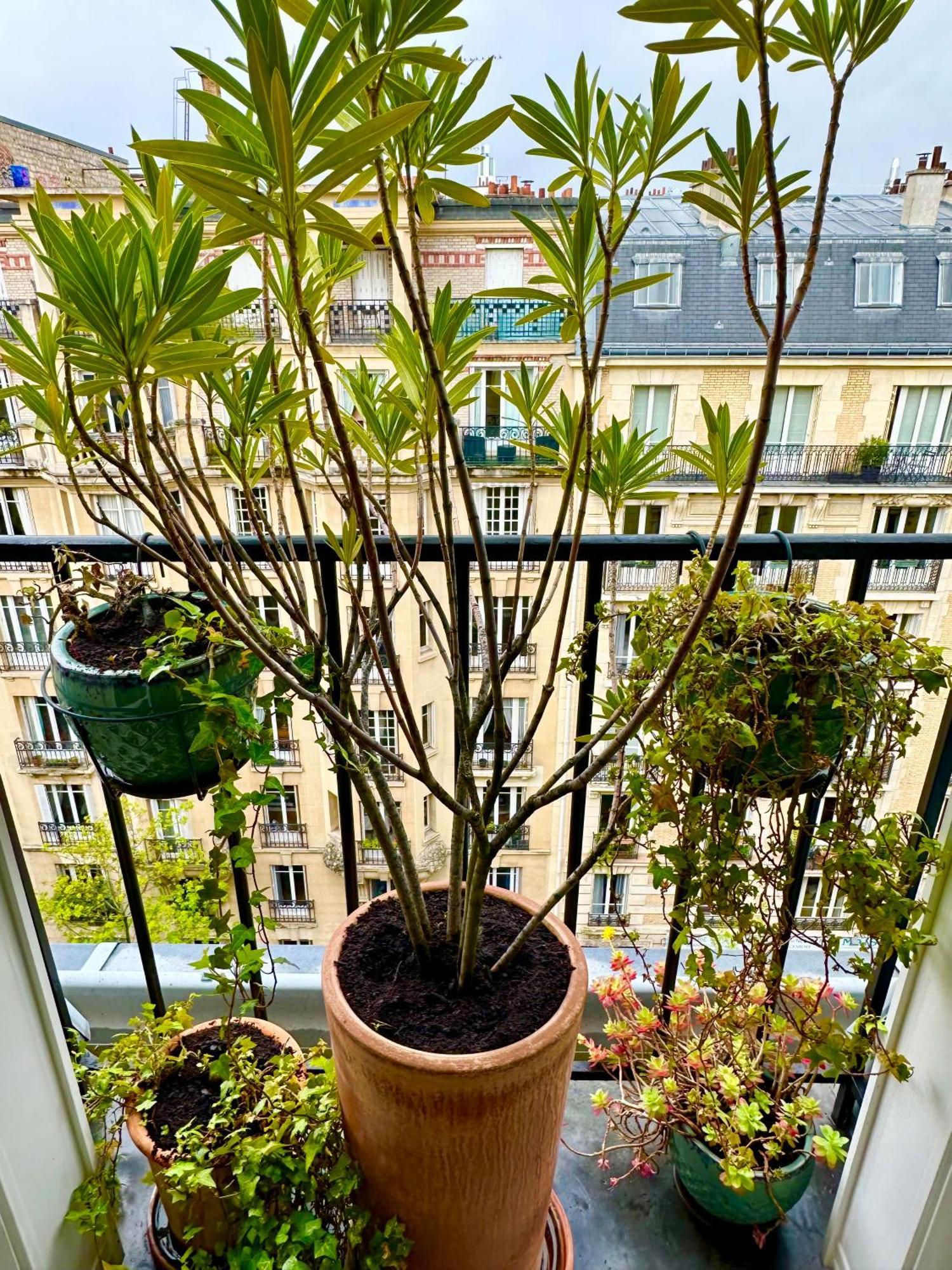 Appartement Lovely Cosy - 16th