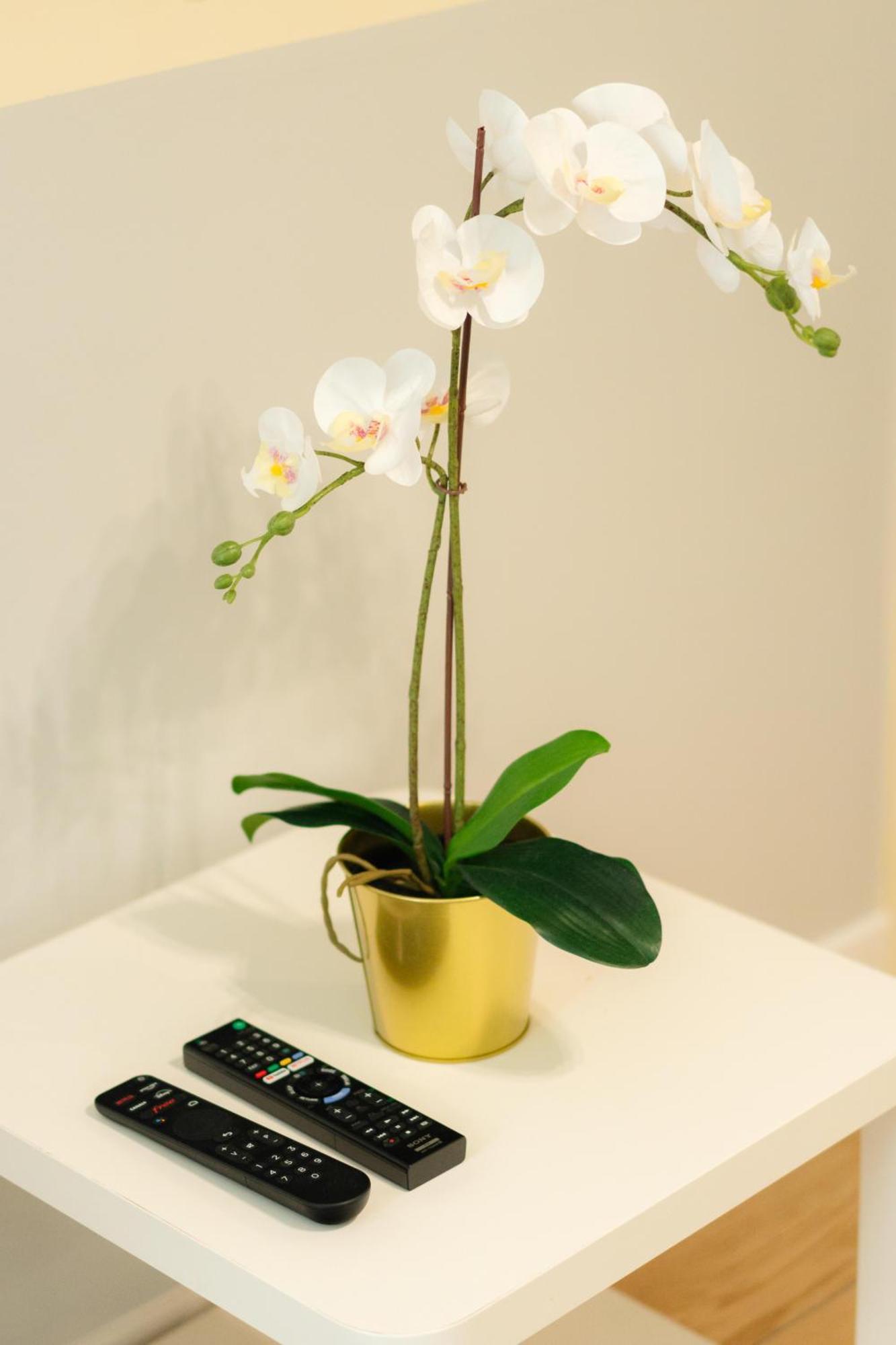Beautiful Yellow Near Marais And Bastille Appartement *