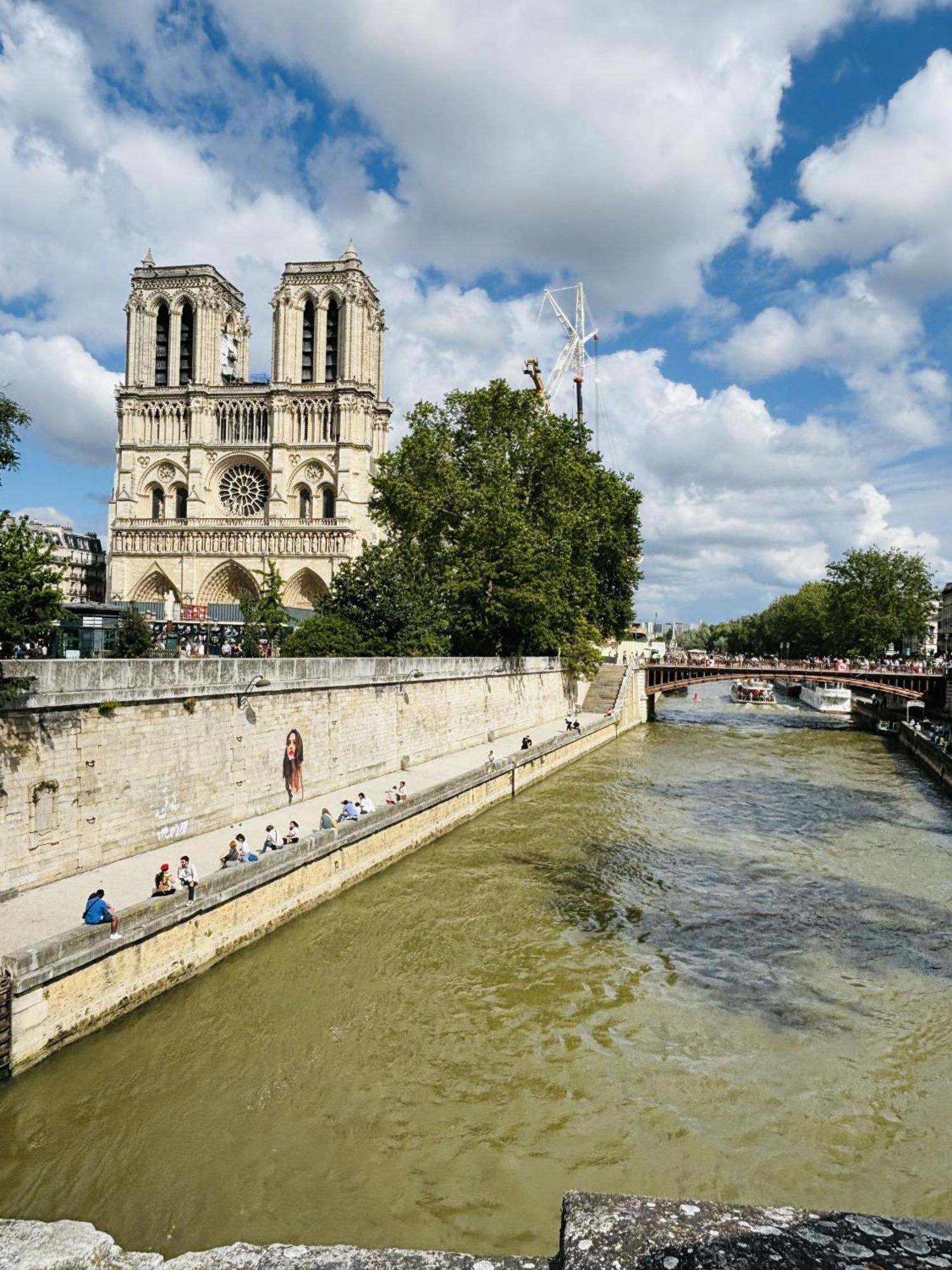 Superb Flat Seine-notre Dame Apartment