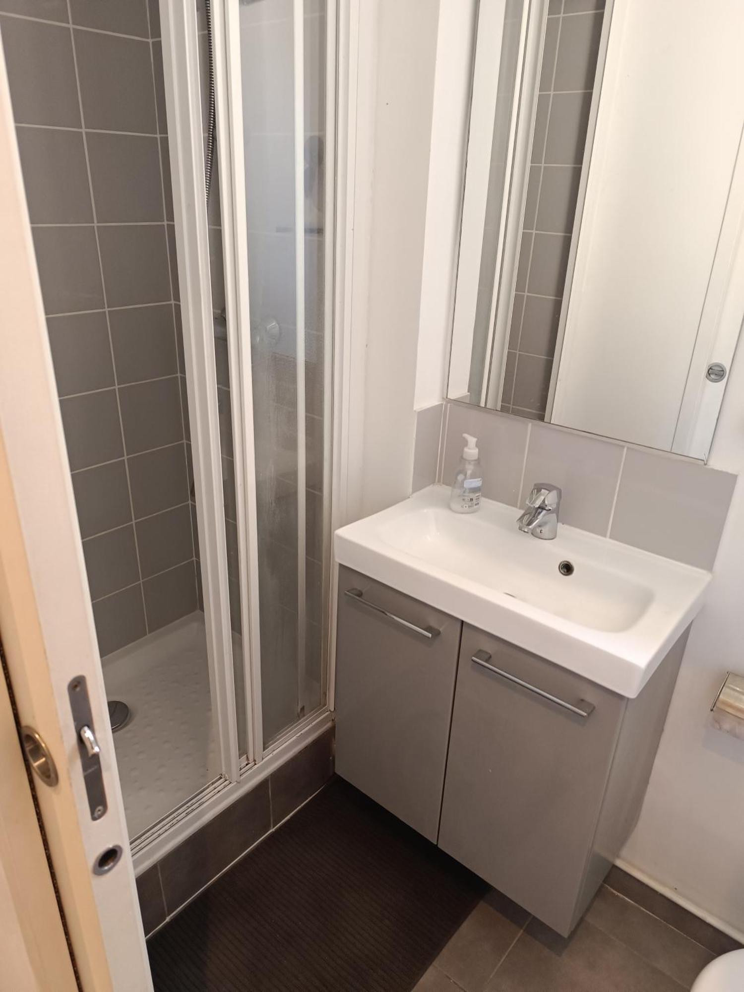 Buttes Chaumont Apartment Paris
