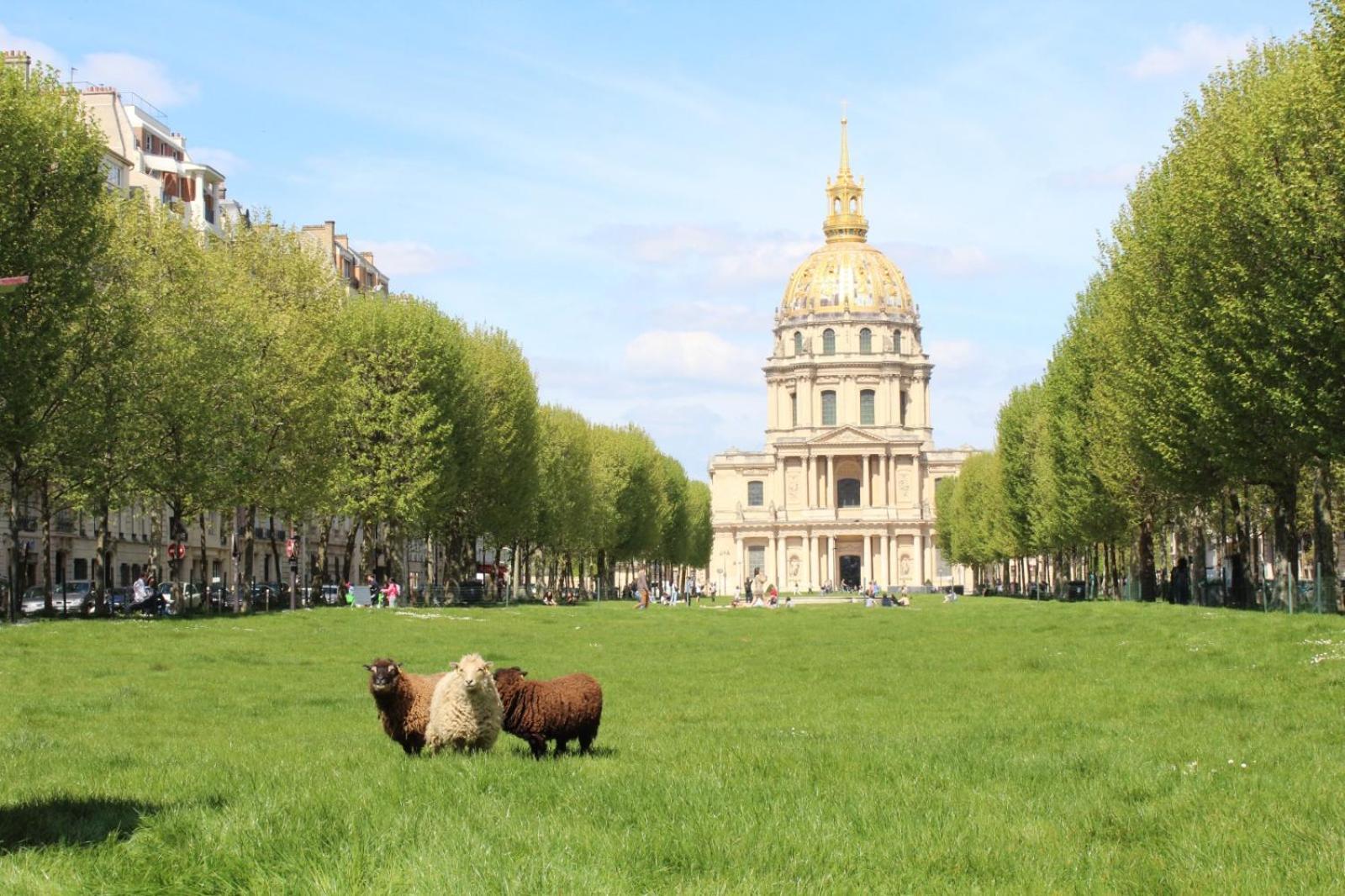 Bright & Elegant With View Over Invalides, Near St Germain Des Pres Apartment