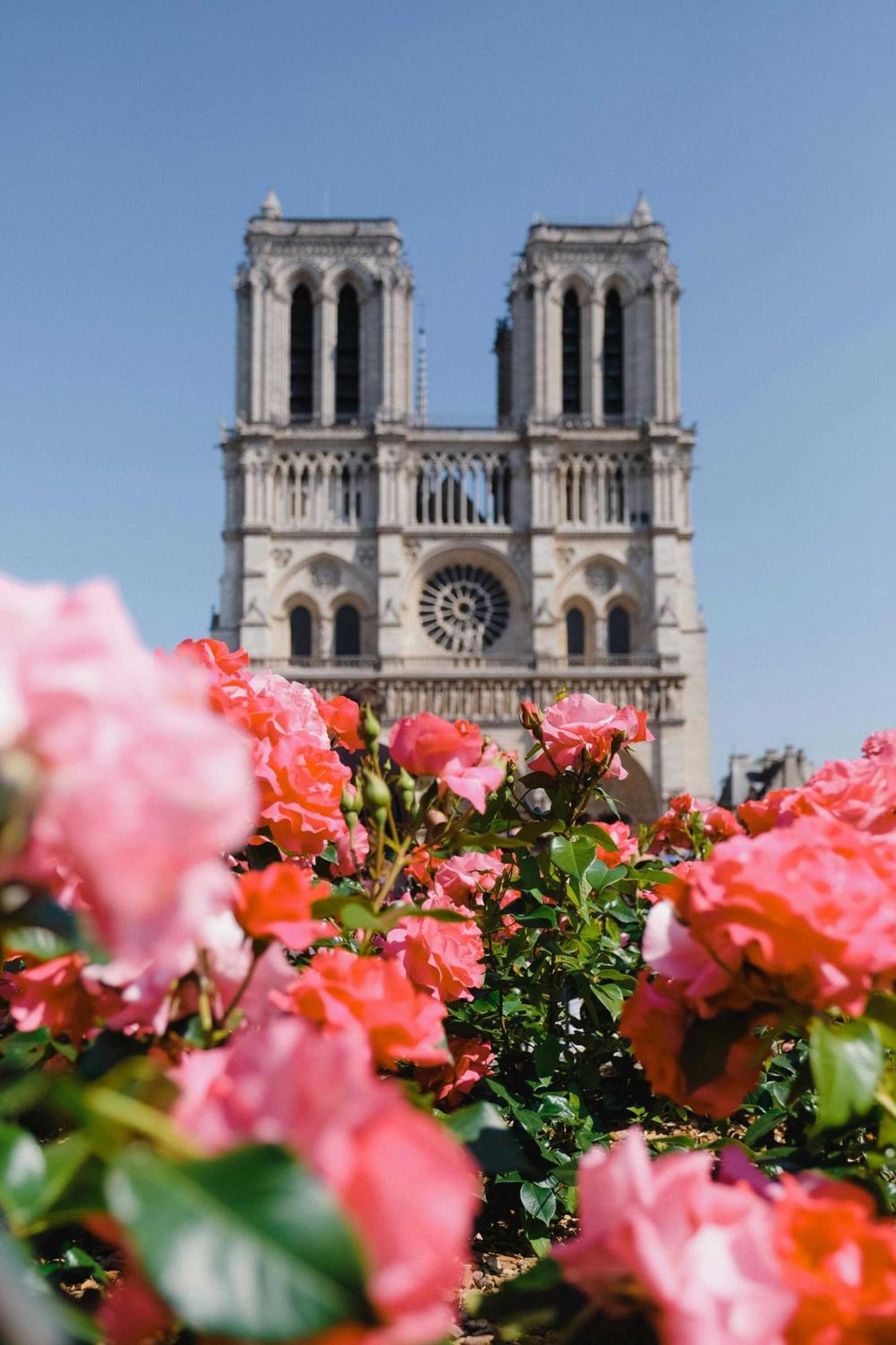 Cozy - 2br-4p - Cathedrale De Notre Da *