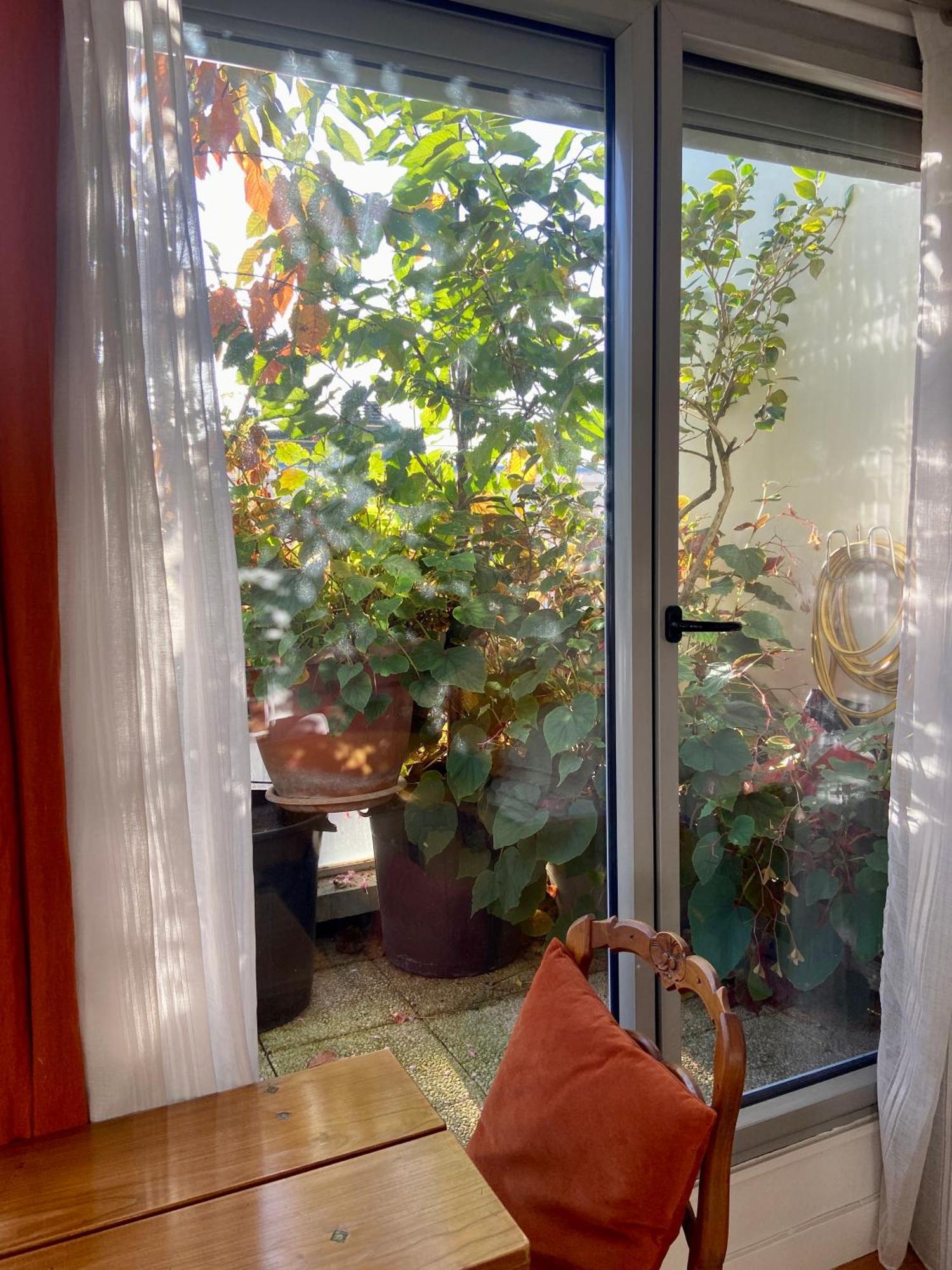 Apartamento Avec Terrasse