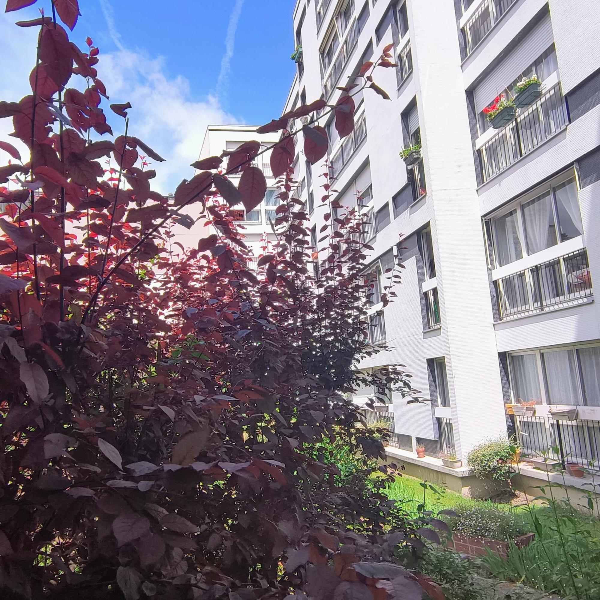 Inclusive 12min From Eiffel Tower