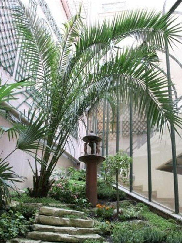 Hotel Moulin Plaza By Happyculture 3*