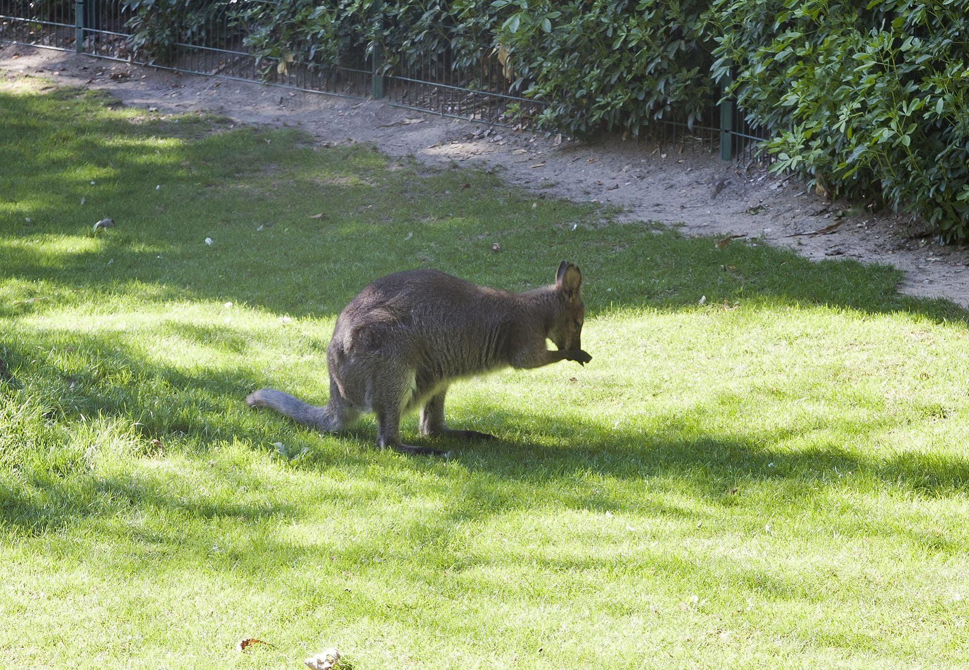 Du Jardin Des Plantes Hotel 3*