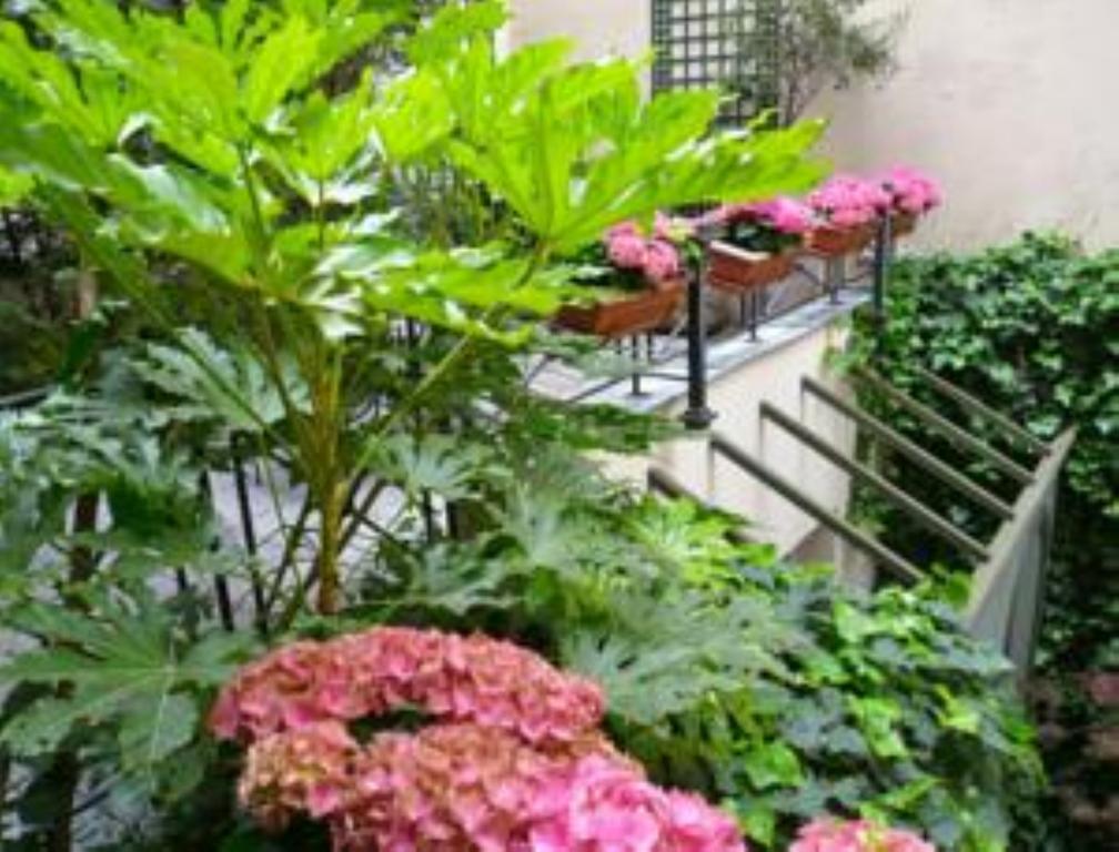 Baume Paris