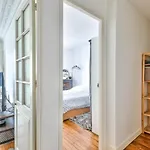 Large Cozy Apartment Near Convention