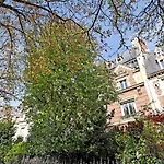 Luxury Apartment With Eiffel Tower View