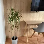 Sweet House In Paris