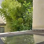 3Min Notre Dame De Paris | Studio