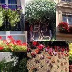Charm & Comfort A Montmartre