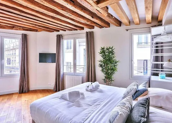 Amazing Apartment Close To Notre Dame
