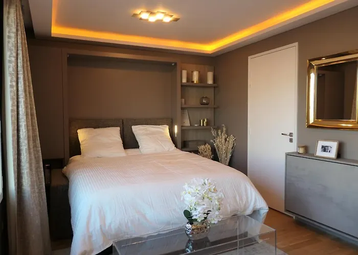 Luxury Studio Daumesnil