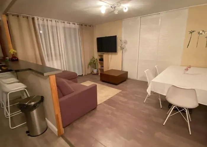 Superbe Appartement Avec Piscine Et Vue Sur Paris