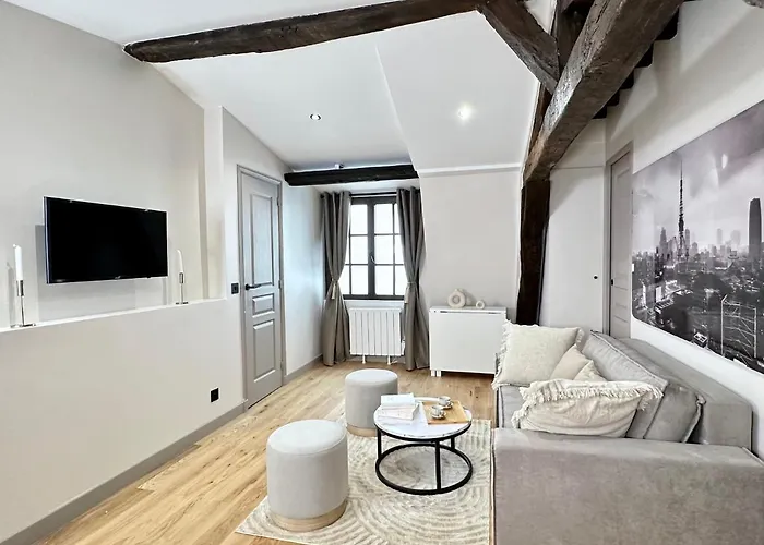 Le Marais\' Finest Luxurious Apartment