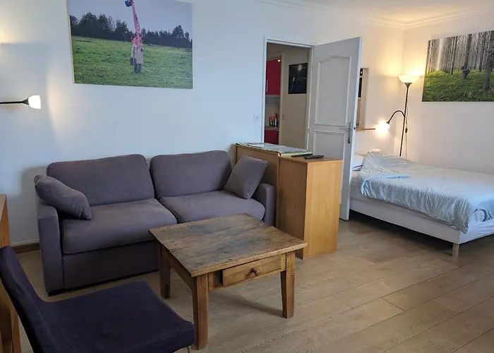 Large Studio With Terrace For Up To 4 People