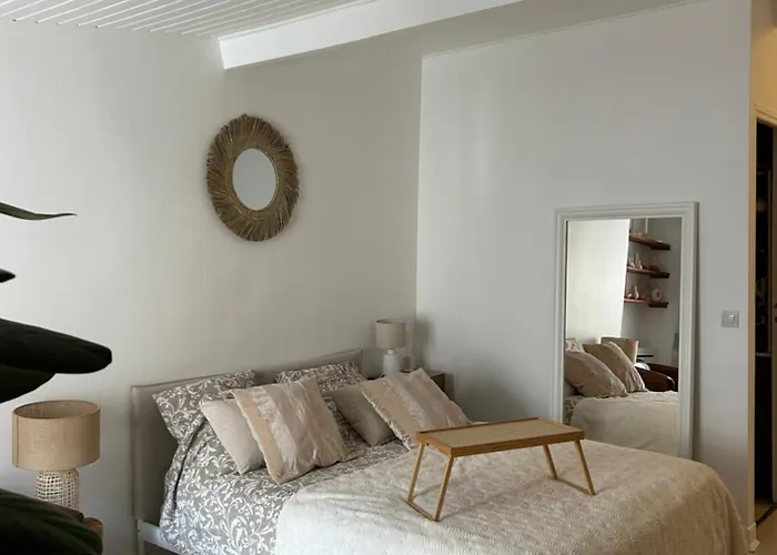 Grand Studio Entierement Renove Au Coeur De Paris
