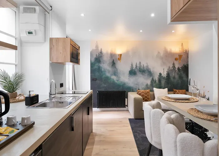 Appartement 30M2 Cosy A 5 Min A Pied Du Musee Du Louvre