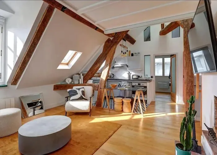 Loft Place Des Vosges