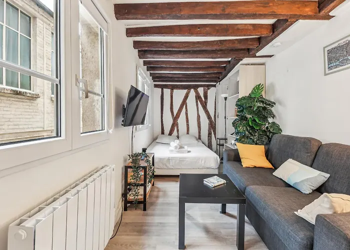 Cosy Et Charmant Studio Coeur Du Marais