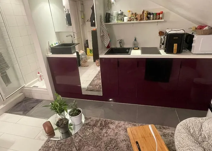 Fully Equipped Studette, Paris 14Ieme