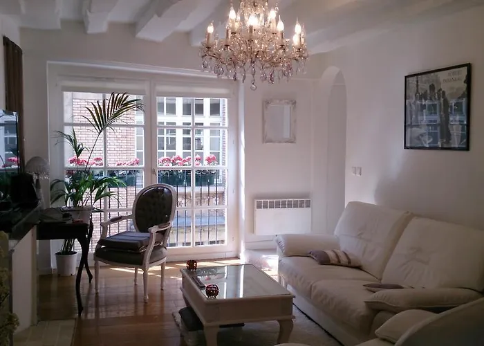 Magnifique Appartement Dans Hotel Particulier Monument Historique
