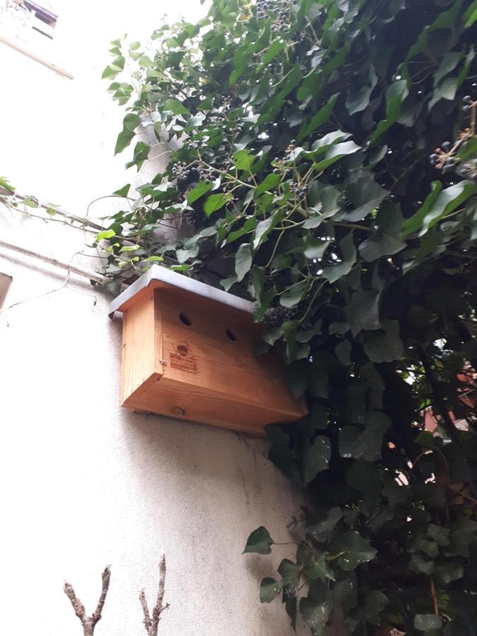 Le Nichoir Aux Oiseaux