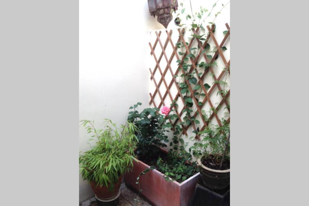 Tour Eiffel Montmartre House Appartement Paris