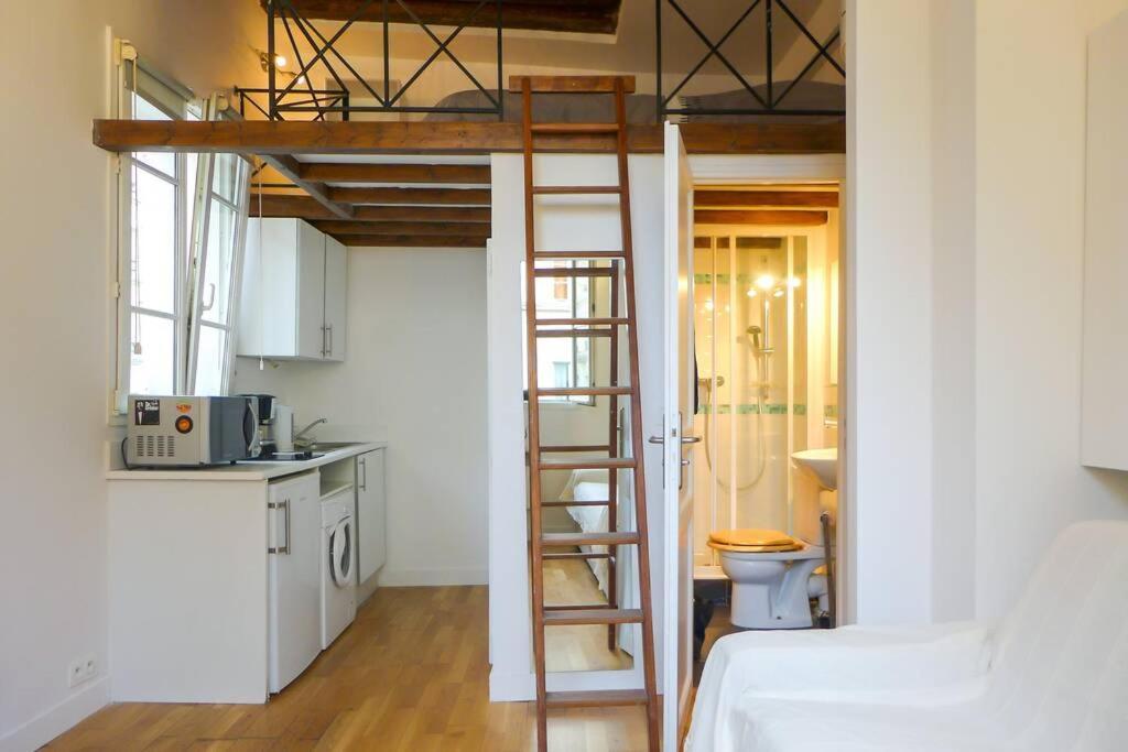 Chatelet Hyper Central Studio With Mezzanine Appartement