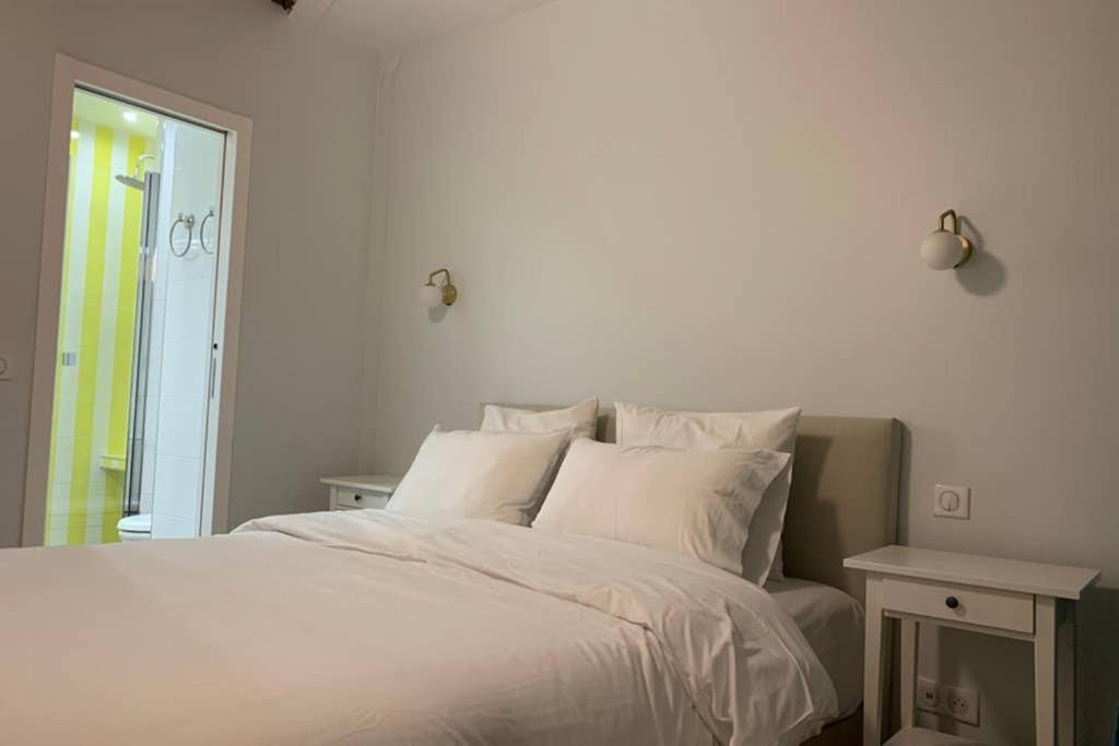 Charming Saint Germain Odeon Luxembourg Apartment Paris