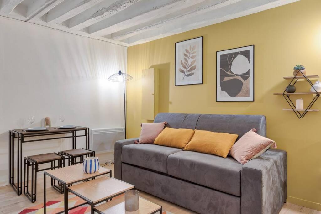 Biche Charming studio Place de la Republique - 4P Appartement