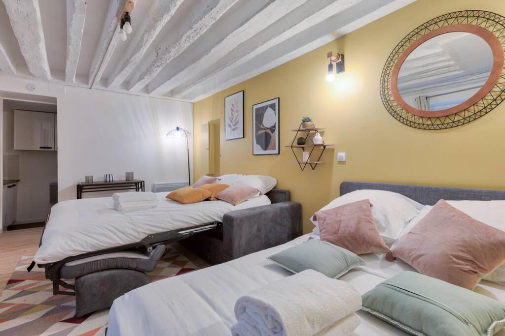 Biche Charming studio Place de la Republique - 4P Appartement *