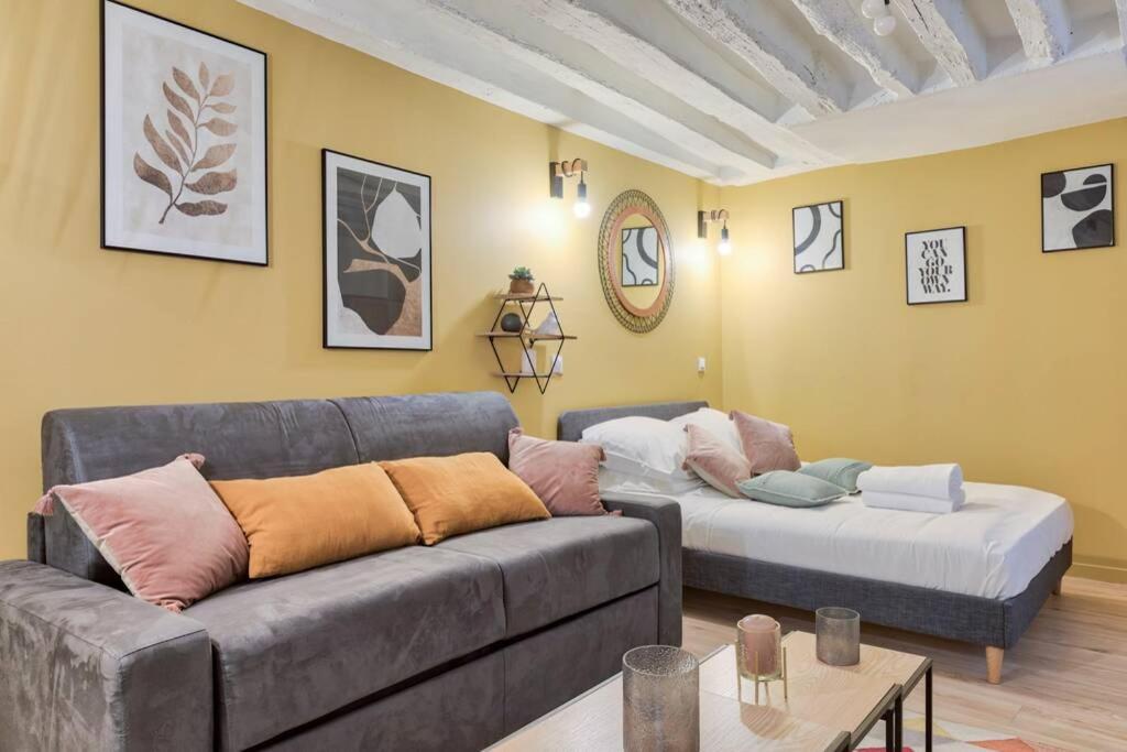 Biche Charming studio Place de la Republique - 4P Appartement