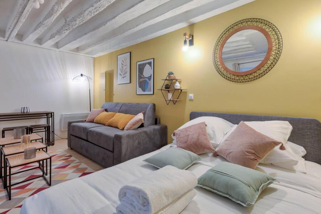 Biche Charming studio Place de la Republique - 4P Appartement