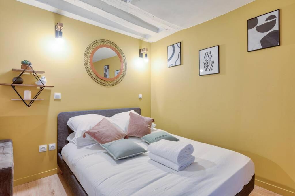 Biche Charming studio Place de la Republique - 4P Appartement